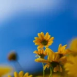 sviatok-dnes-12-maja-co-nemozete-robit-kto-ma-den.webp.webp